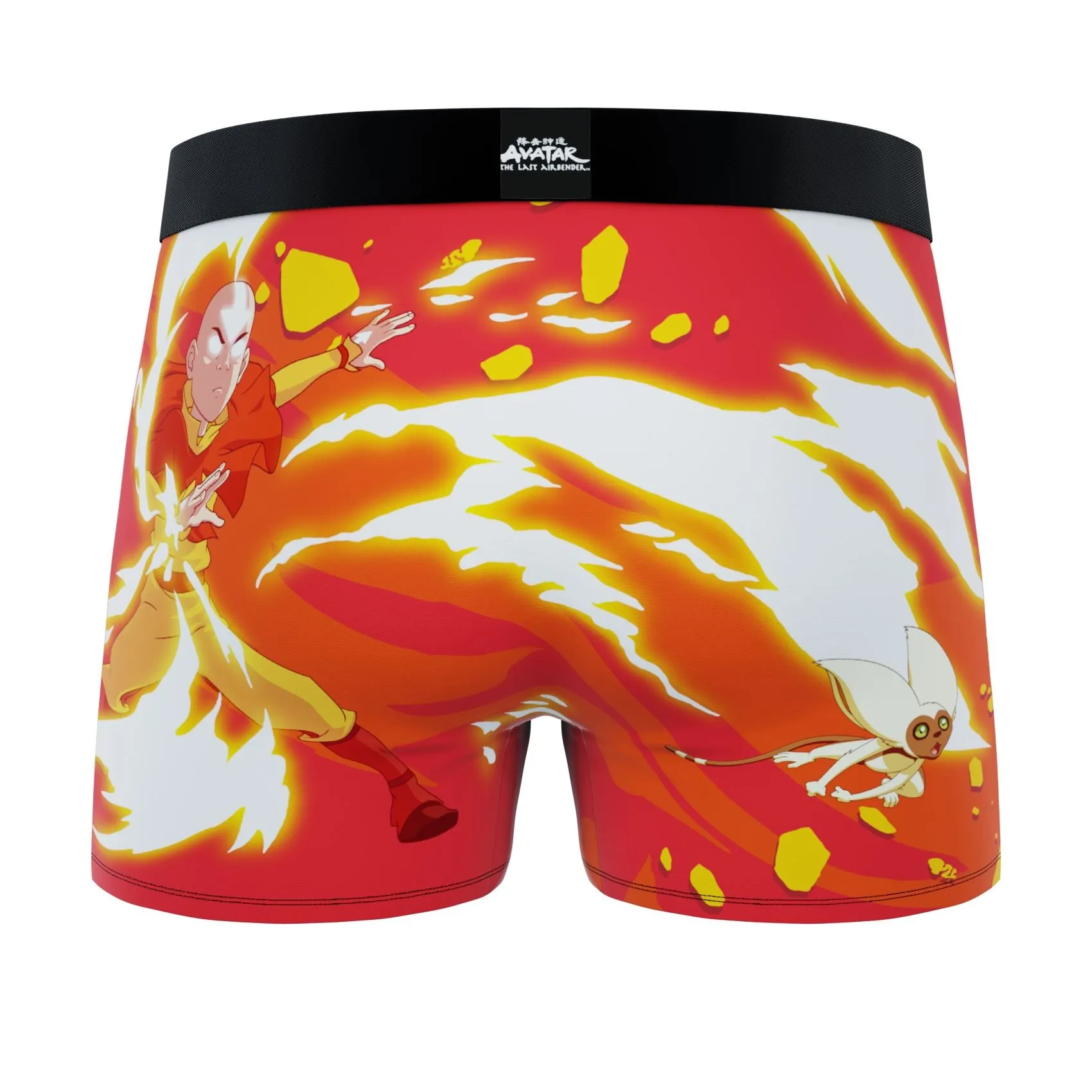 CRAZYBOXER Avatar The Last Airbender Men's Boxer Briefs