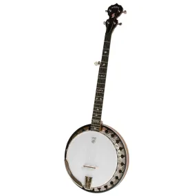 DEERING® BOSTON 5-STRING BANJO with Hardshell Case B